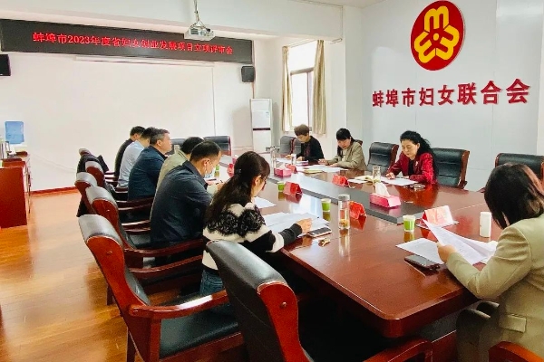蚌埠市召开2023年度省妇女创业发展项目立项评审会